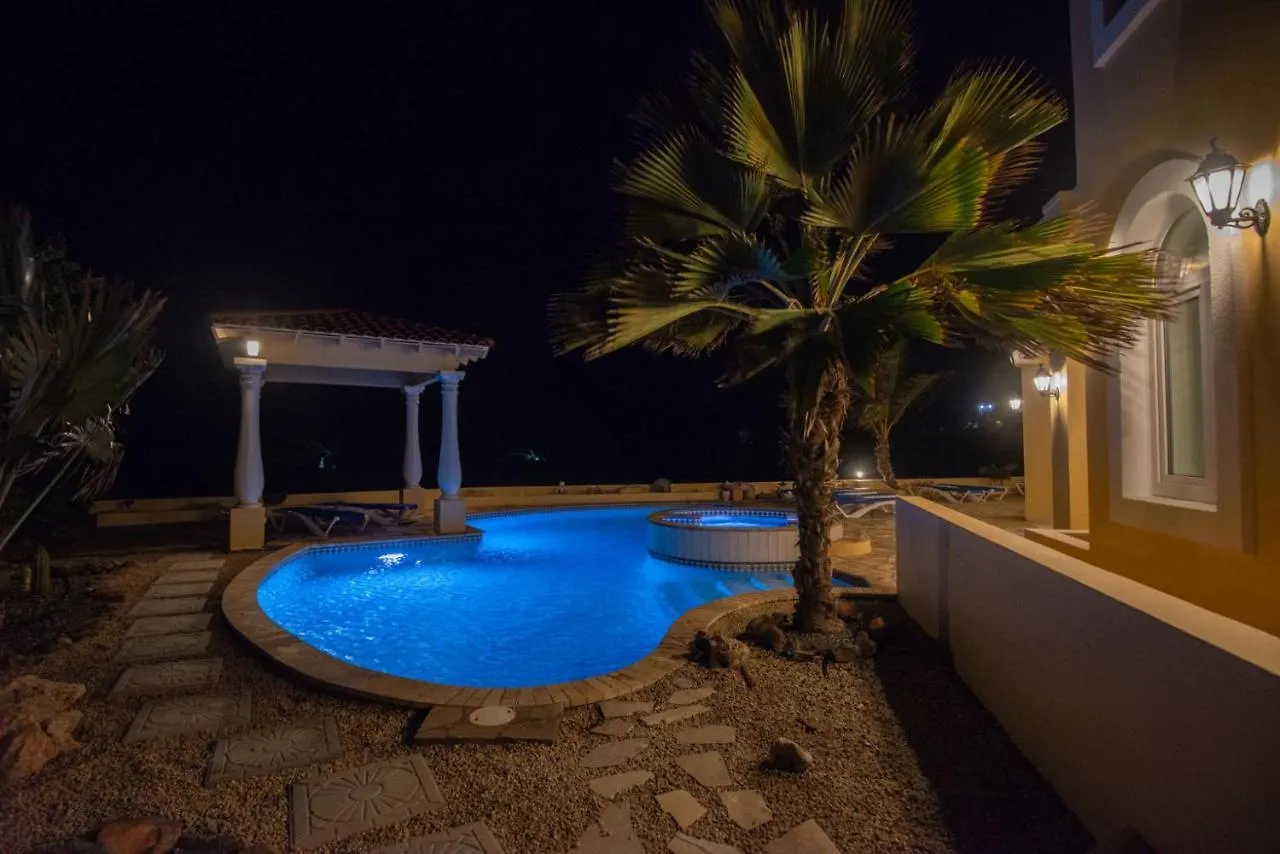 This One Of A Kind Amazing Aruba Beach House 棕榈滩