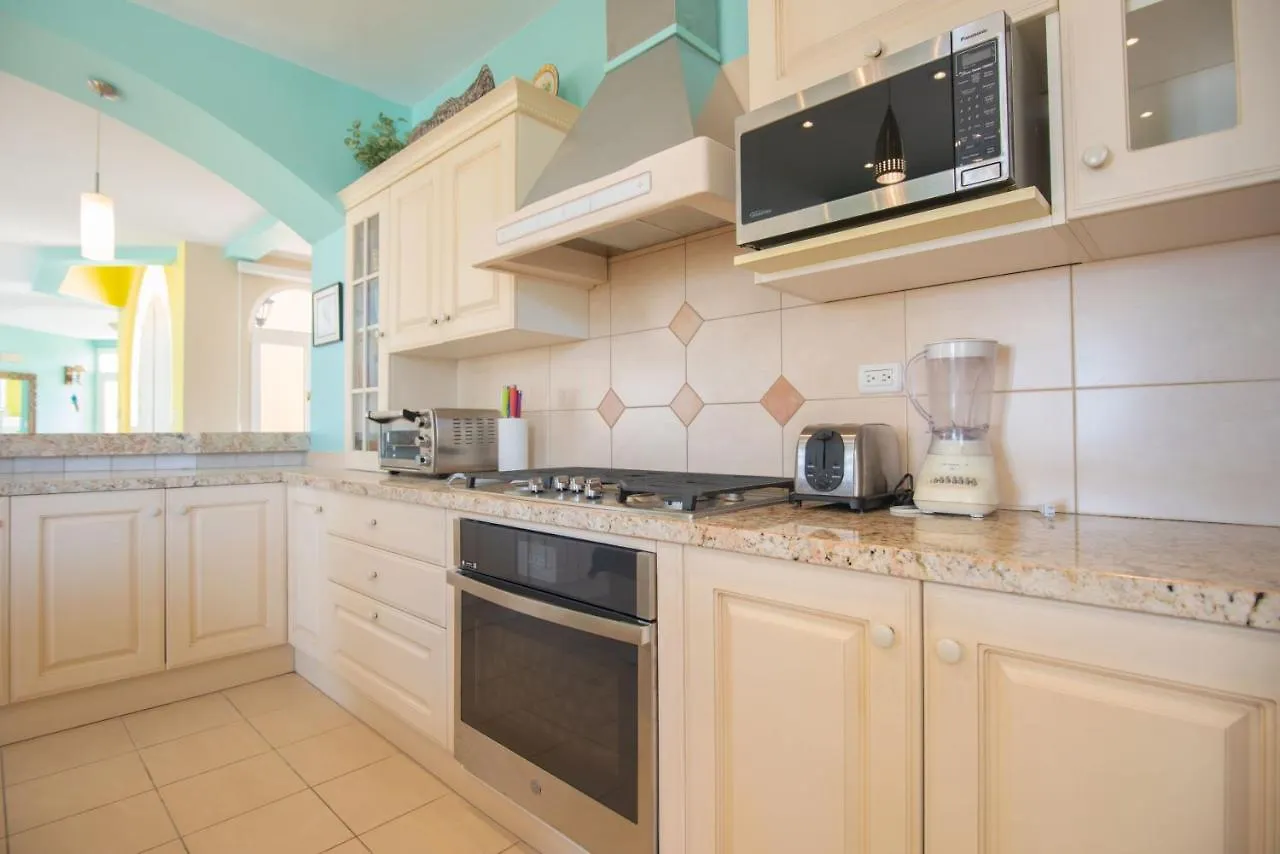 This One Of A Kind Amazing Aruba Beach House 棕榈滩 别墅